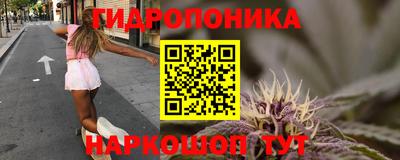 spice Краснокаменск