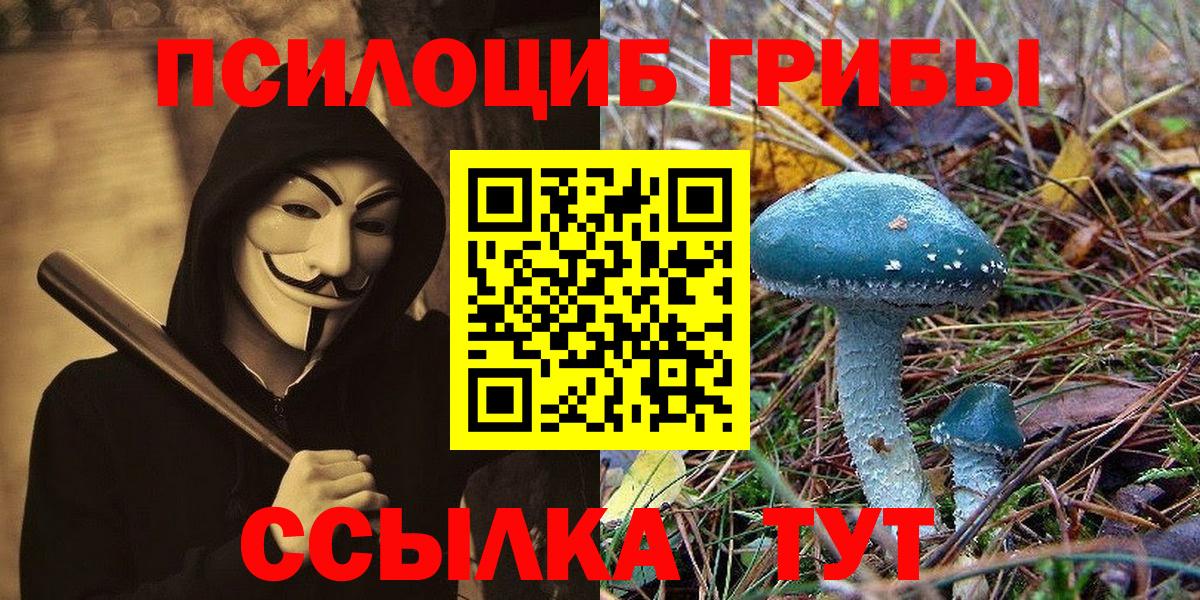Псилоцибиновые грибы мухоморы Жуковский